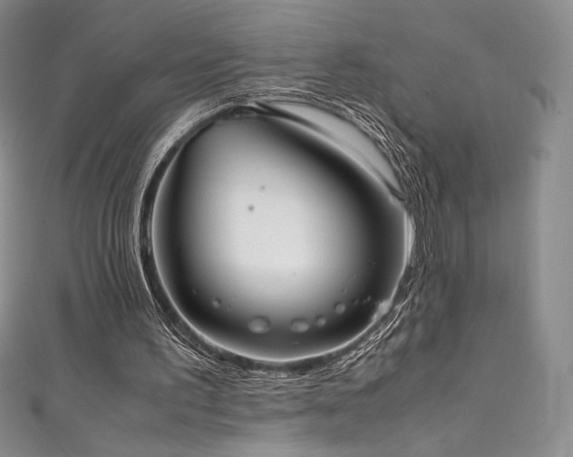 X0000111530195200907141535