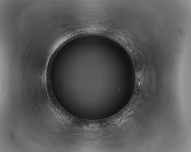 X0000111530196200907141535