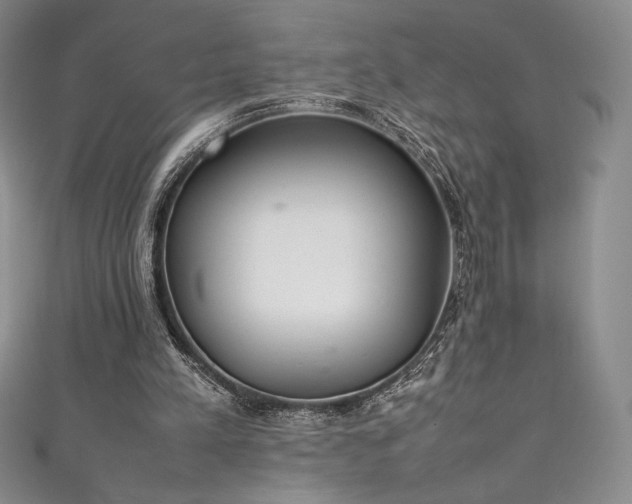 X0000111530197200907141535