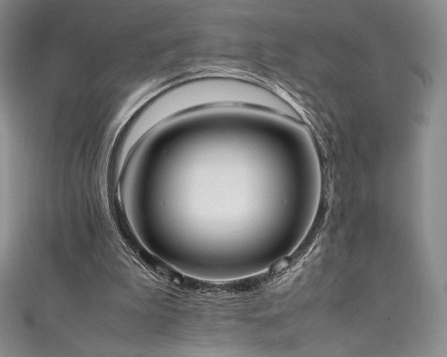 X0000111530199200907141535