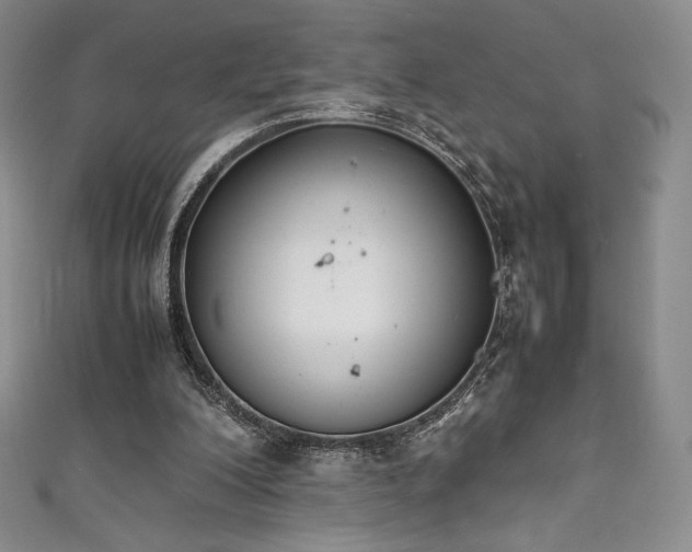 X0000111530200200907141535