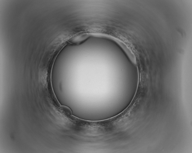 X0000111530201200907141535