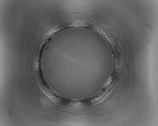 X0000111530203200907141535