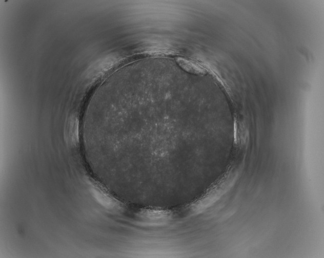 X0000111530205200907141535