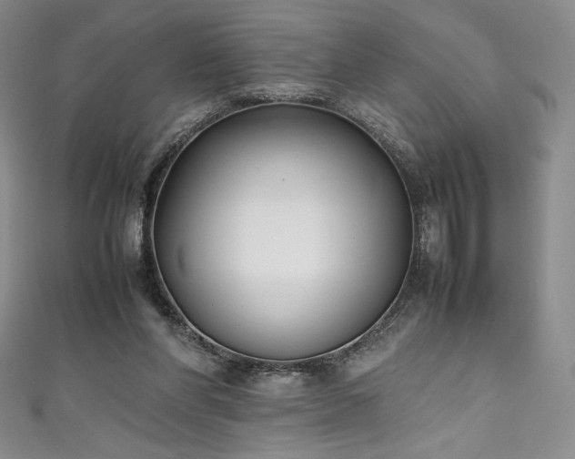 X0000111530206200907141535