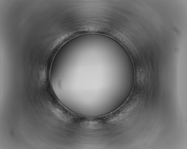 X0000111530208200907141535