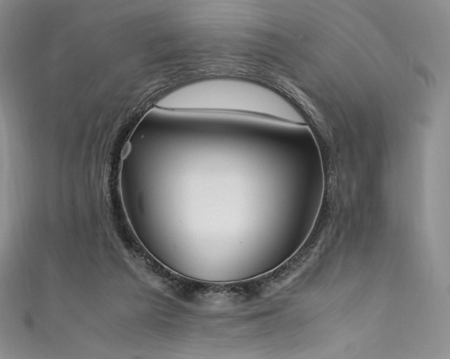 X0000111530209200907141535