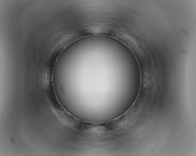 X0000111530210200907141534