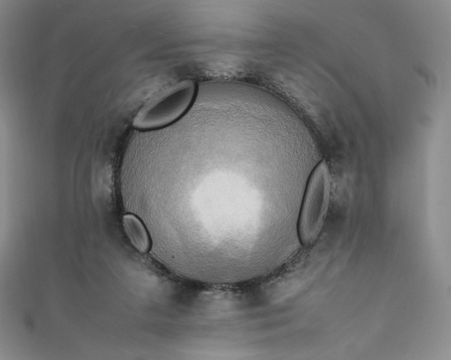 X0000111530211200907141534