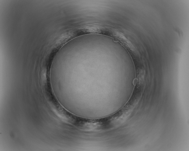 X0000111530213200907141534