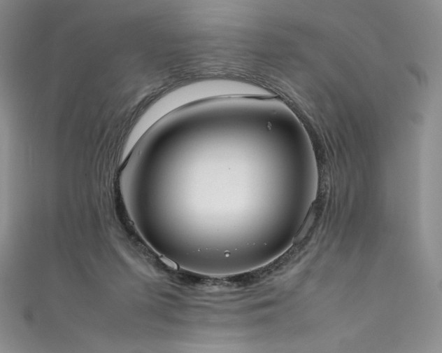 X0000111530215200907141534