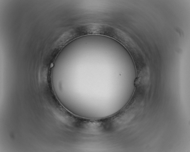 X0000111530217200907141534