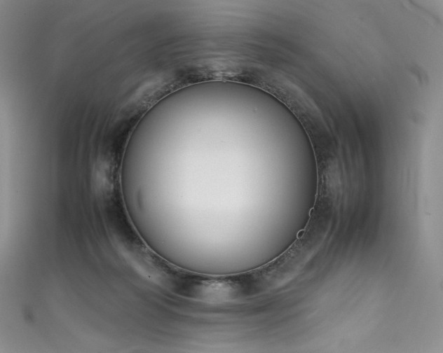 X0000111530218200907141534