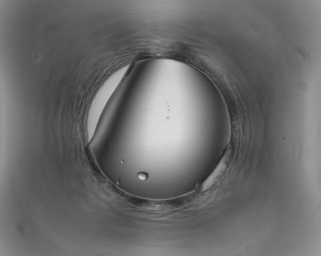 X0000111530221200907141534