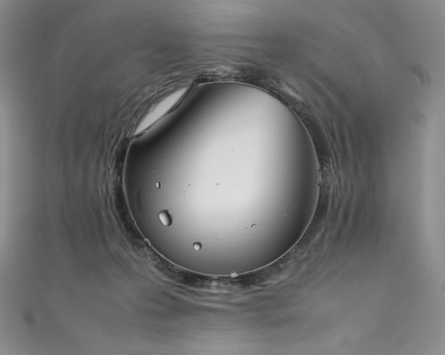 X0000111530223200907141534