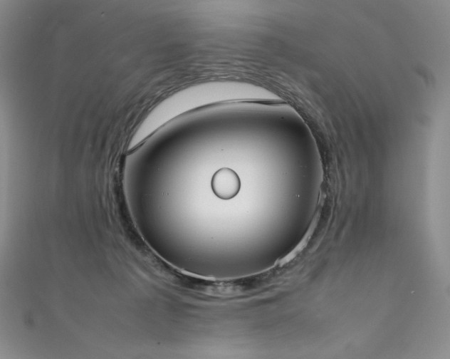 X0000111530225200907141534