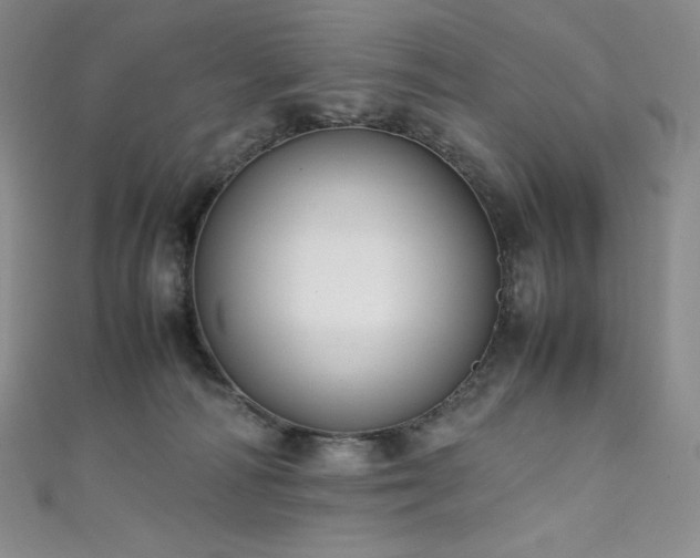 X0000111530226200907141534