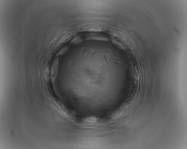 X0000111530227200907141534