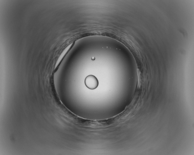 X0000111530229200907141534