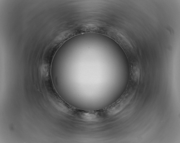 X0000111530232200907141534