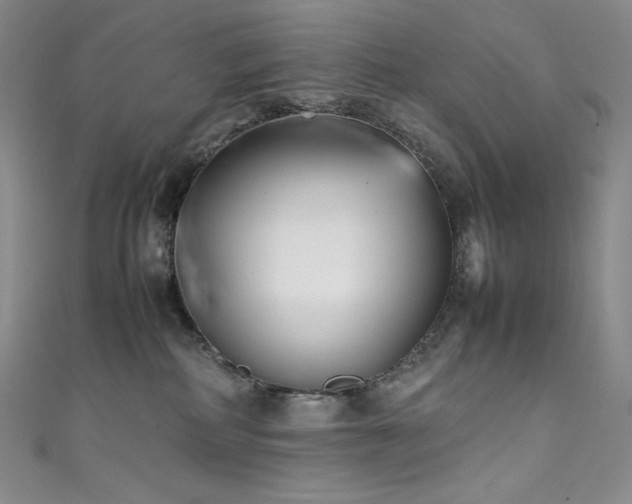 X0000111530234200907141534