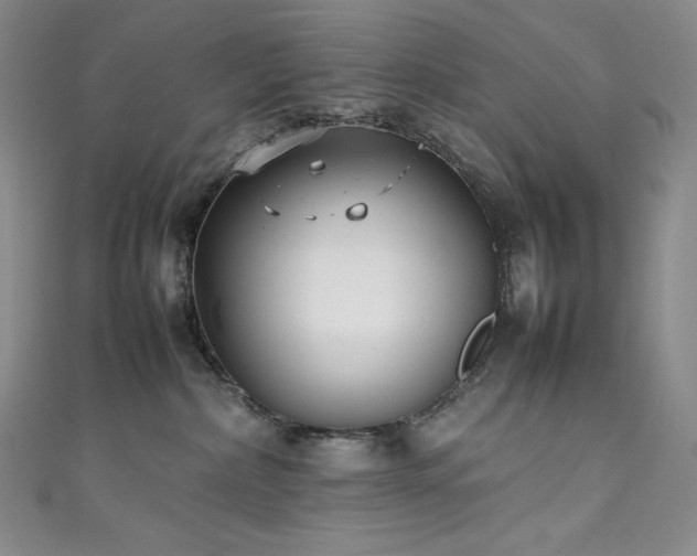 X0000111530236200907141534