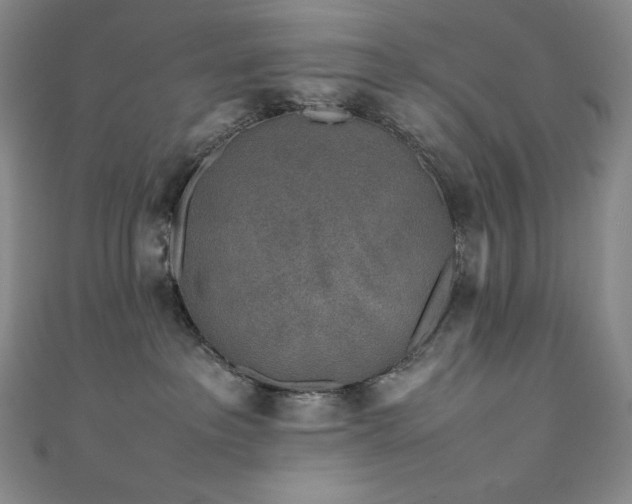 X0000111530237200907141534