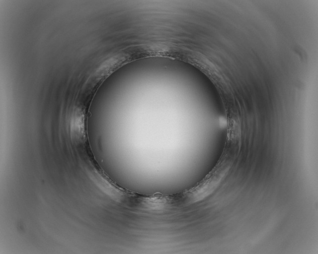 X0000111530238200907141534