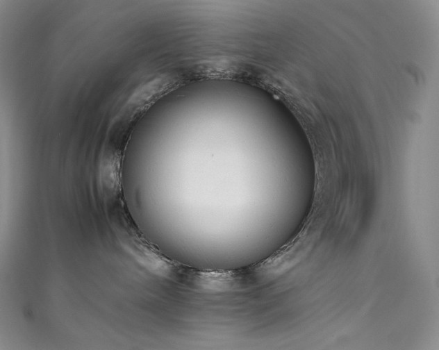 X0000111530240200907141534