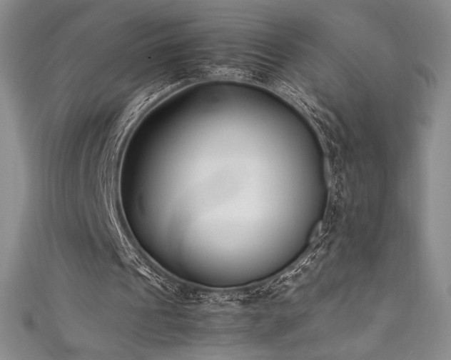 X0000111530241200907141533