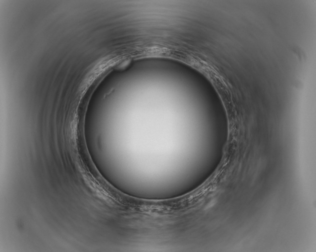 X0000111530242200907141534