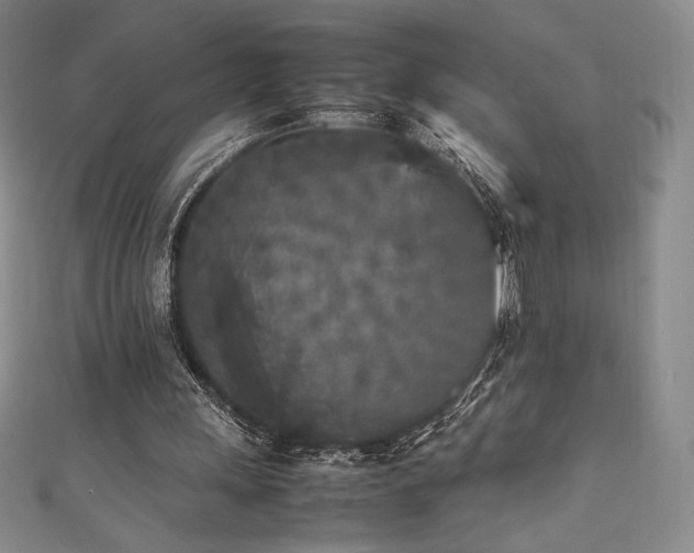 X0000111530243200907141534