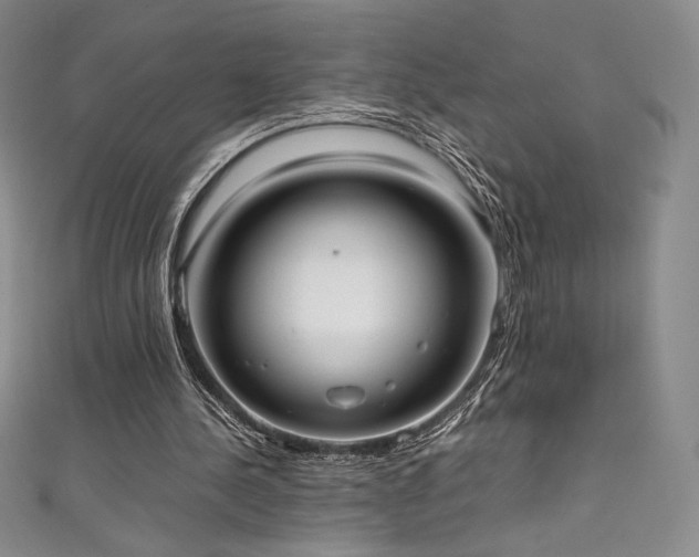 X0000111530244200907141534