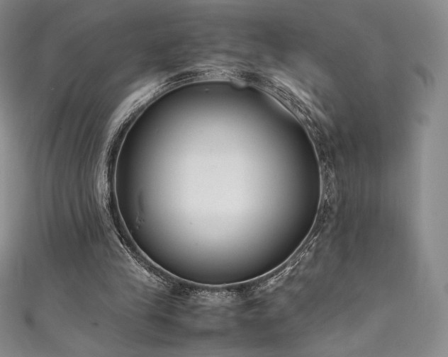 X0000111530245200907141534