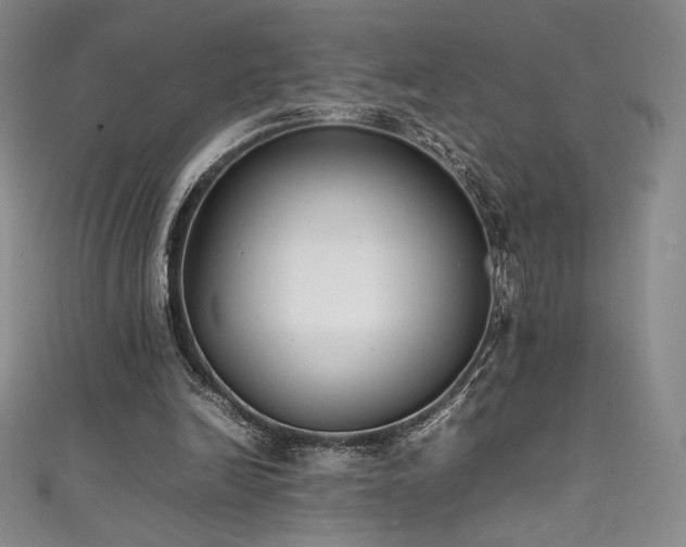 X0000111530246200907141534