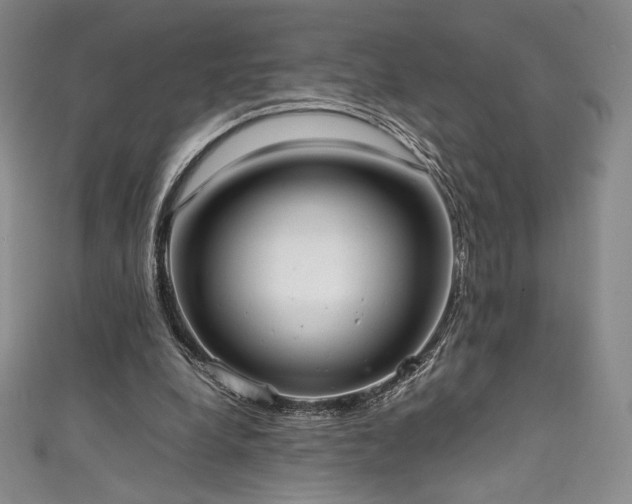 X0000111530248200907141534