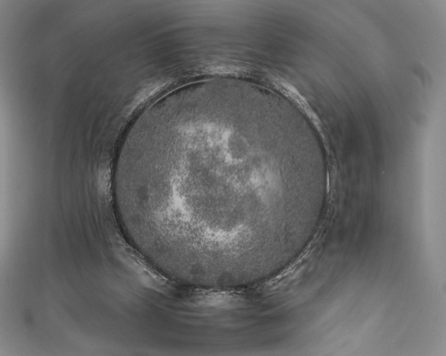 X0000111530249200907141534