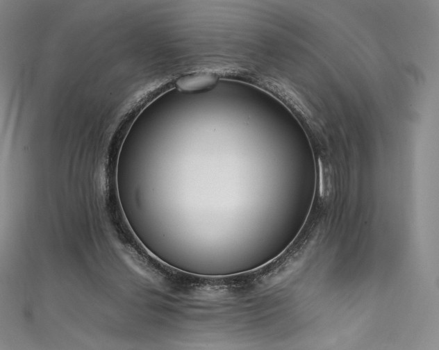 X0000111530252200907141534