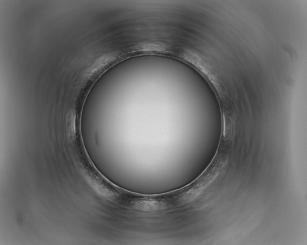 X0000111530253200907141534