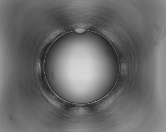 X0000111530254200907141534