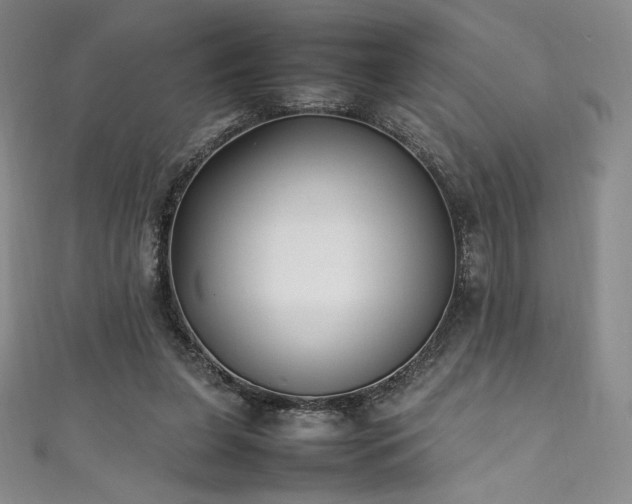 X0000111530255200907141534