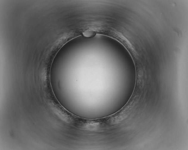 X0000111530257200907141534