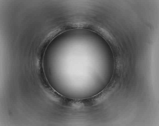 X0000111530258200907141534