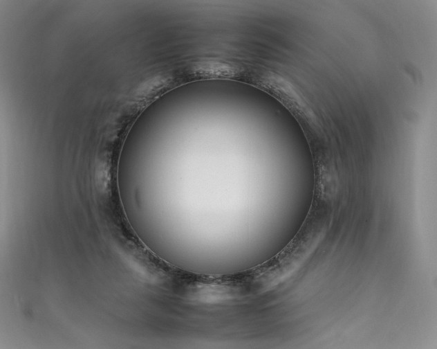 X0000111530259200907141534