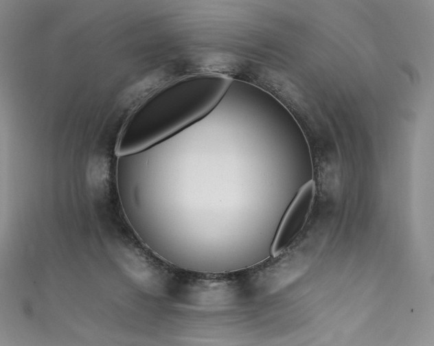 X0000111530260200907141534