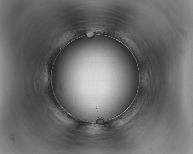 X0000111530261200907141534