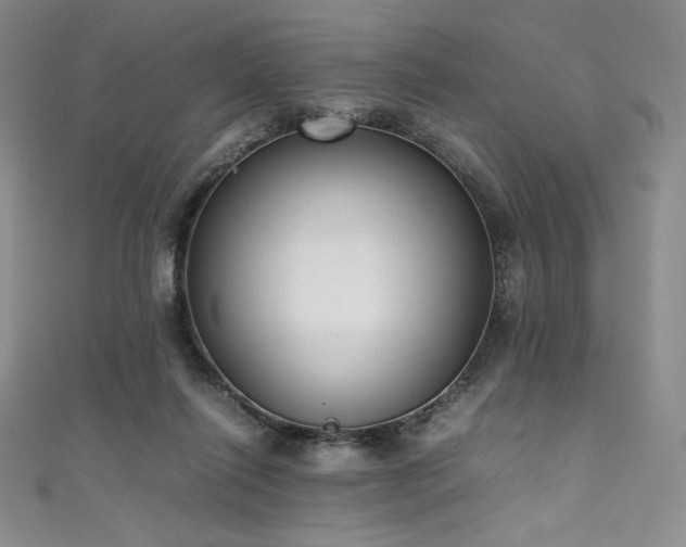 X0000111530262200907141534