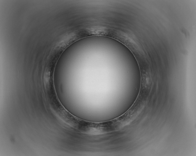 X0000111530263200907141534