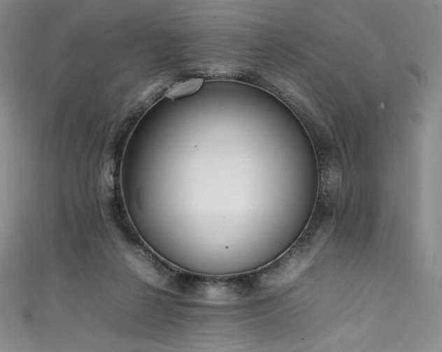 X0000111530264200907141534