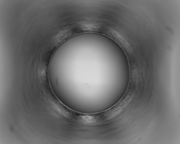 X0000111530265200907141534